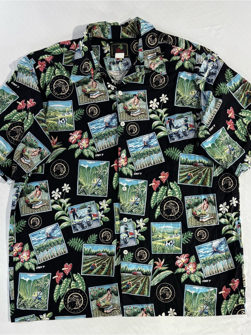 Palms Activewear Black Hawaiian Short-Sleeve Button-Down Shirt - Tropical Scenes